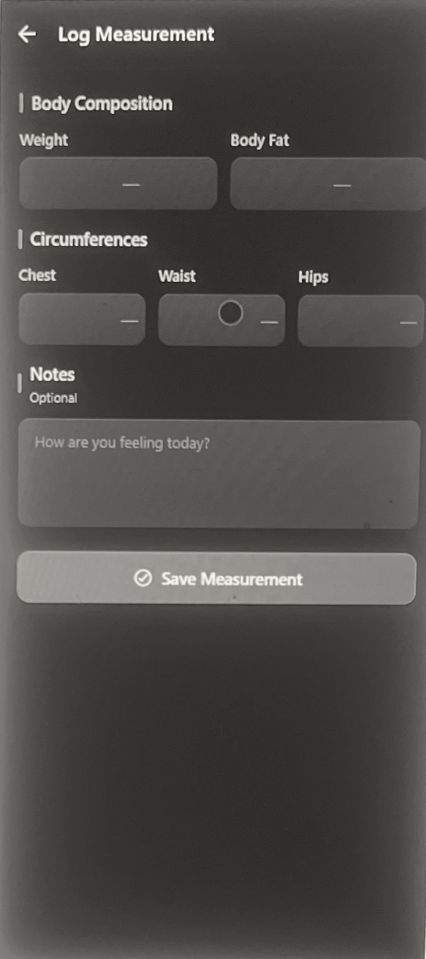Digital wireframe — Log Measurement screen